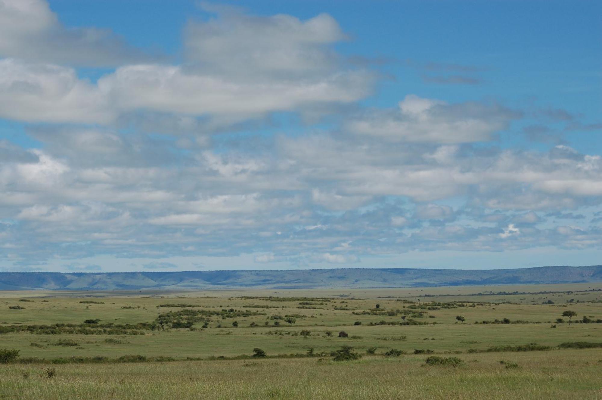 Mara Intrepids Tented Camp Talek Eksteriør bilde