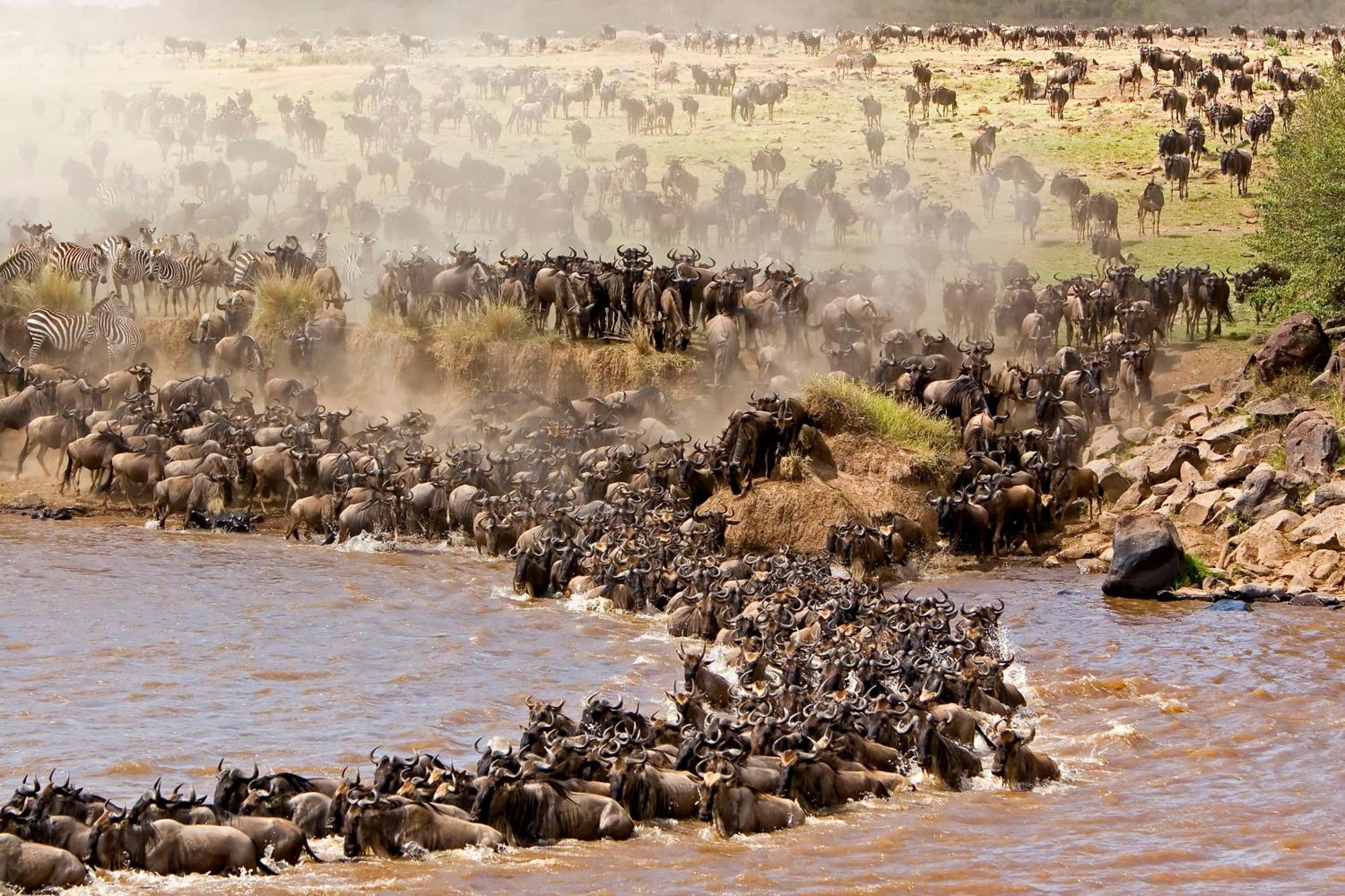 Mara Intrepids Tented Camp Talek Eksteriør bilde